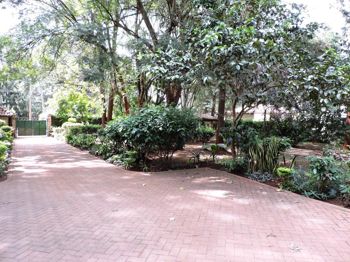 Milimani Backpackers Vandrarhem Nairobi Exteriör bild