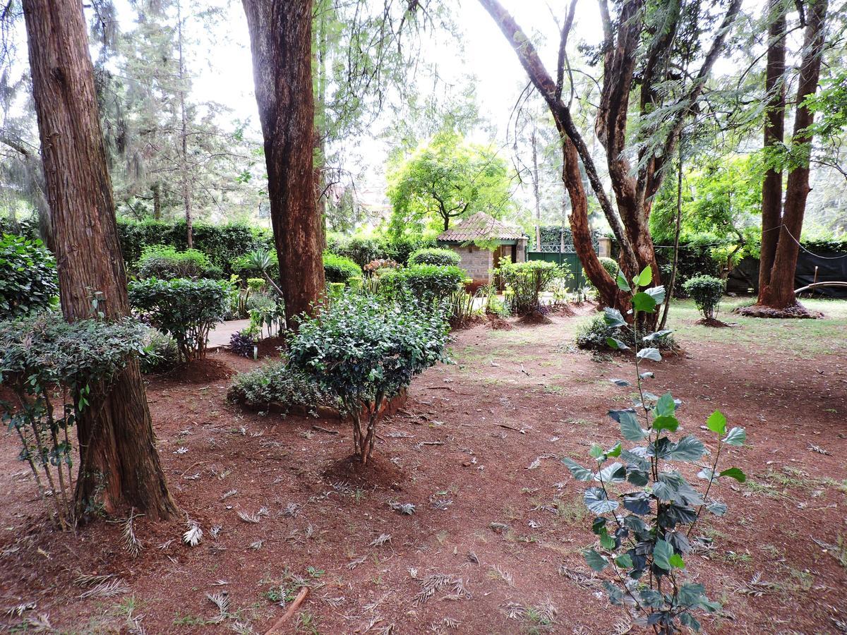 Milimani Backpackers Vandrarhem Nairobi Exteriör bild