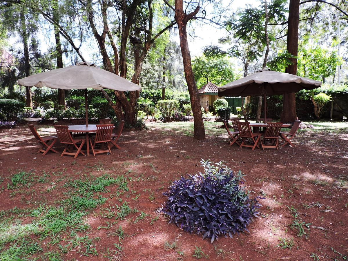 Milimani Backpackers Vandrarhem Nairobi Exteriör bild