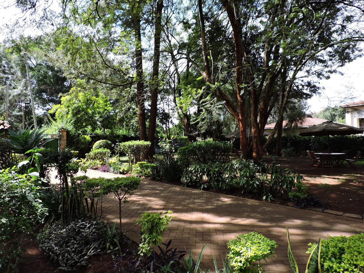 Milimani Backpackers Vandrarhem Nairobi Exteriör bild