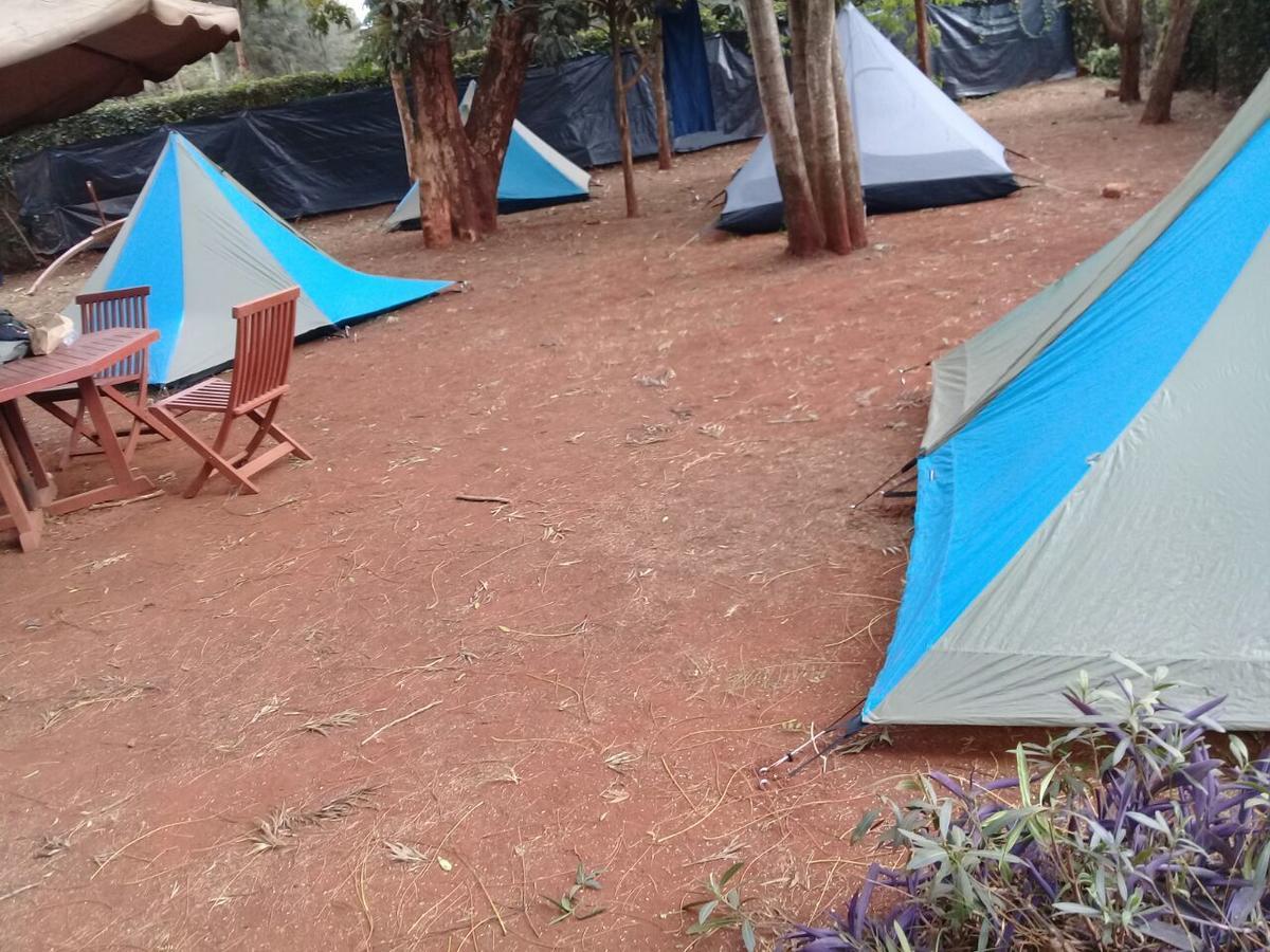 Milimani Backpackers Vandrarhem Nairobi Exteriör bild
